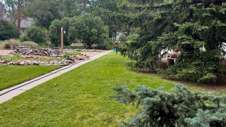 A freshly mowed Laurel, Montana front lawn with clean, striped cut lines