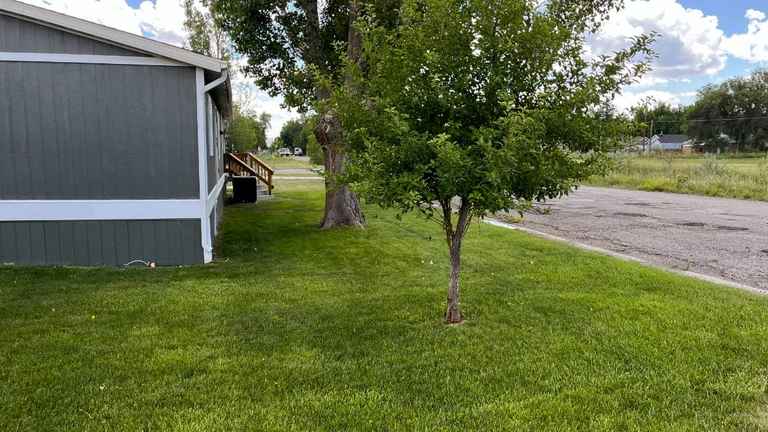 A freshly mowed Laurel lawn with clean, even cut lines