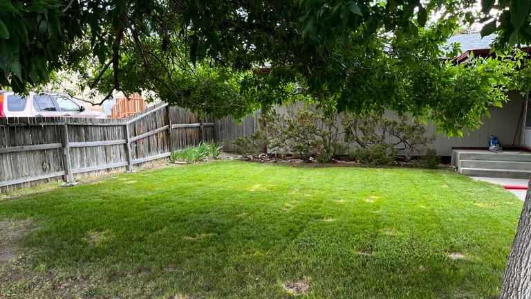 Crisp trimmed edges along a driveway and sidewalk after weedeating